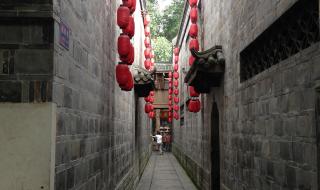 都江堰青城山一日游